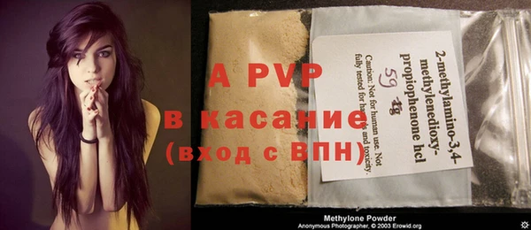 ПСИЛОЦИБИНОВЫЕ ГРИБЫ Балабаново