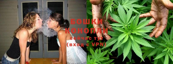 ПСИЛОЦИБИНОВЫЕ ГРИБЫ Балахна