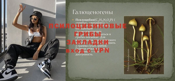 ПСИЛОЦИБИНОВЫЕ ГРИБЫ Балабаново