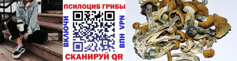 KRAKEN сайт  Омутнинск  Галлюциногенные грибы MAGIC MUSHROOMS  купить закладку 